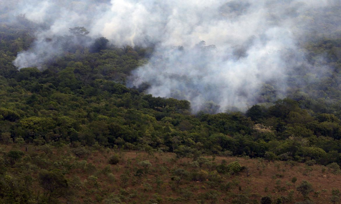 País teve 2,15 milhões de hectares queimados no primeiro semestre