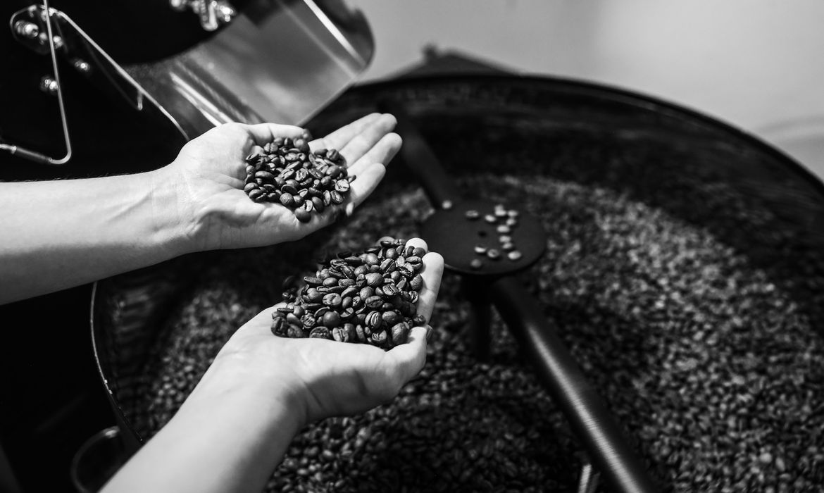 Exportação de café cai 3,6% na safra 2019-2020