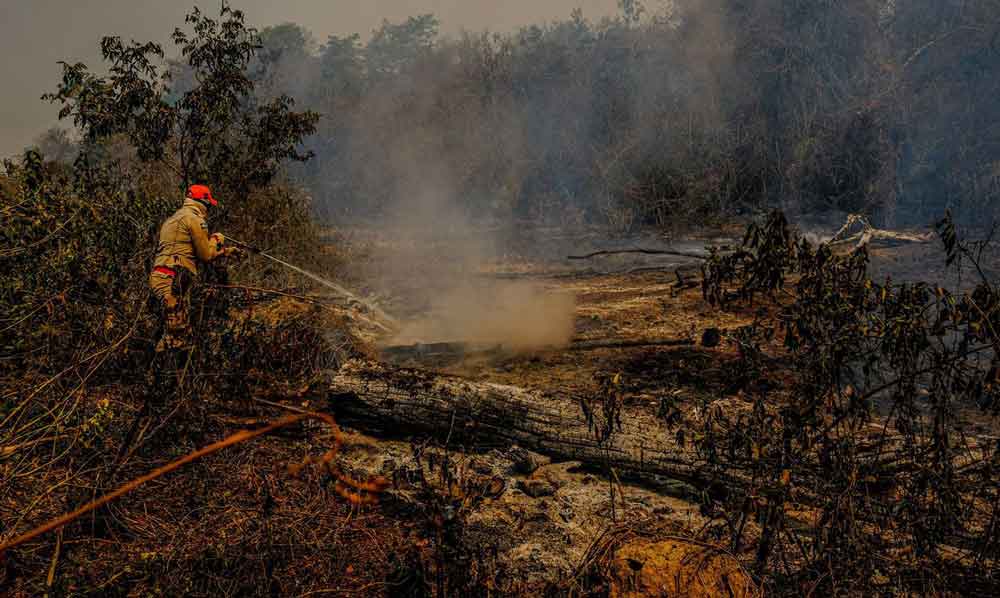 Pantanal: Governo libera R$ 10 milhões para combate a incêndio