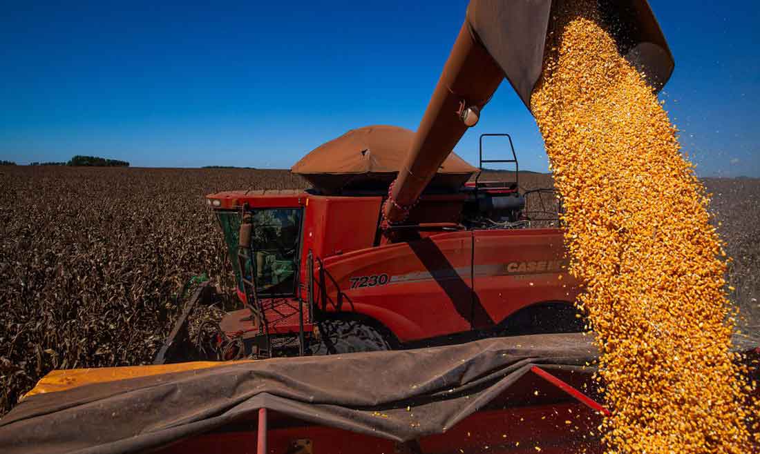 Goiás deve registrar produção de 29,2 milhões de toneladas de grãos na safra 2021/2022