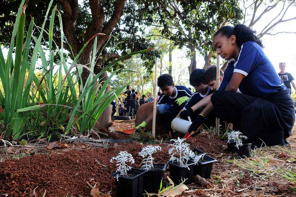 Curso Escola da Terra oferece 120 vagas