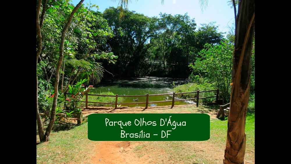 Parque Ecológico Olhos d’Água fecha para manutenção
