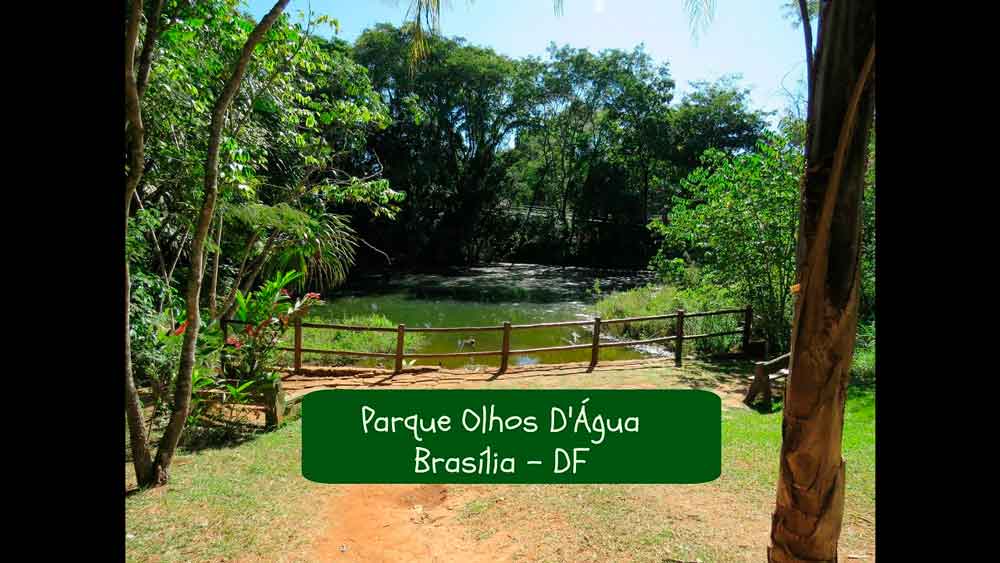 Parque Olhos d’Água fecha para manutenção nesta segunda-feira