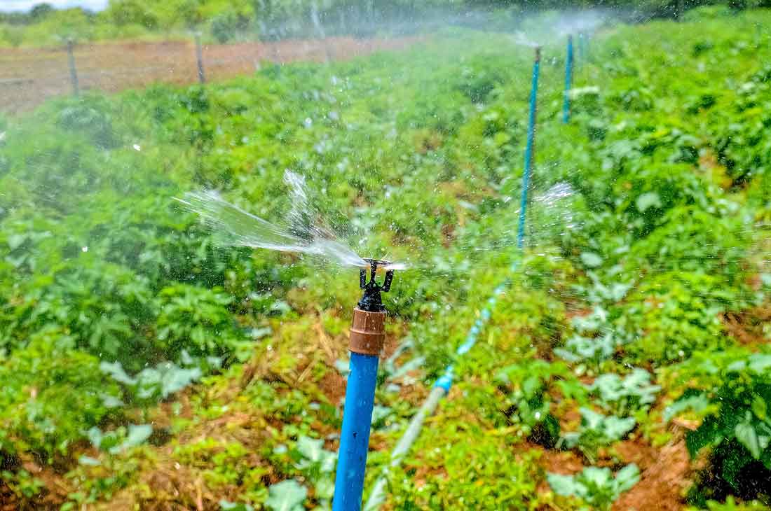Curso ensina produtores rurais sobre irrigação
