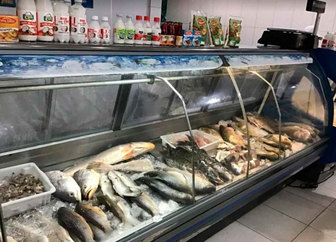 Ao comprar peixes, atente para todos os detalhes do produto