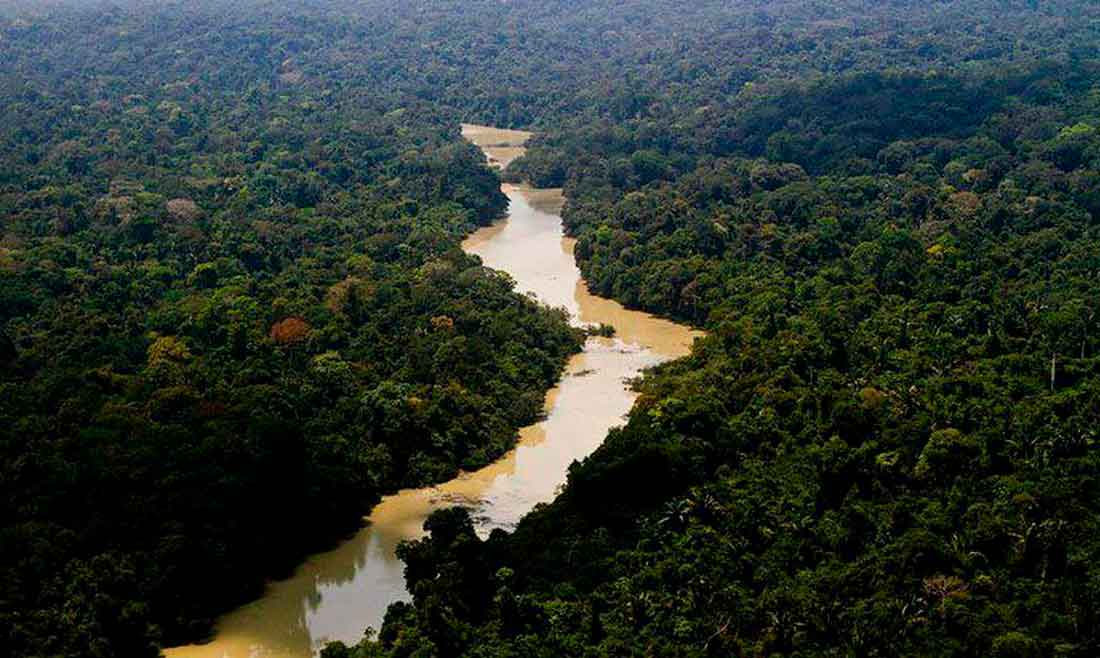 Caixa vai repassar R$ 150 milhões para preservação de florestas