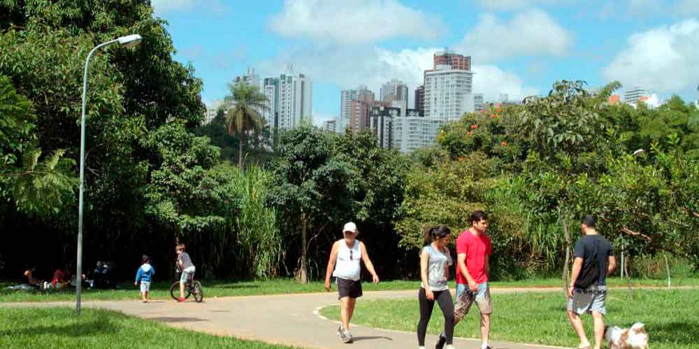 Parque Águas Claras fecha para remoção de árvores