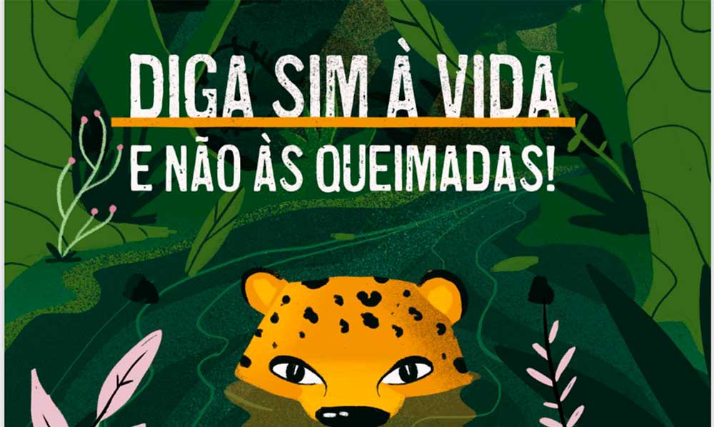 Lançada cartilha para conscientizar alunos da Amazônia sobre queimadas