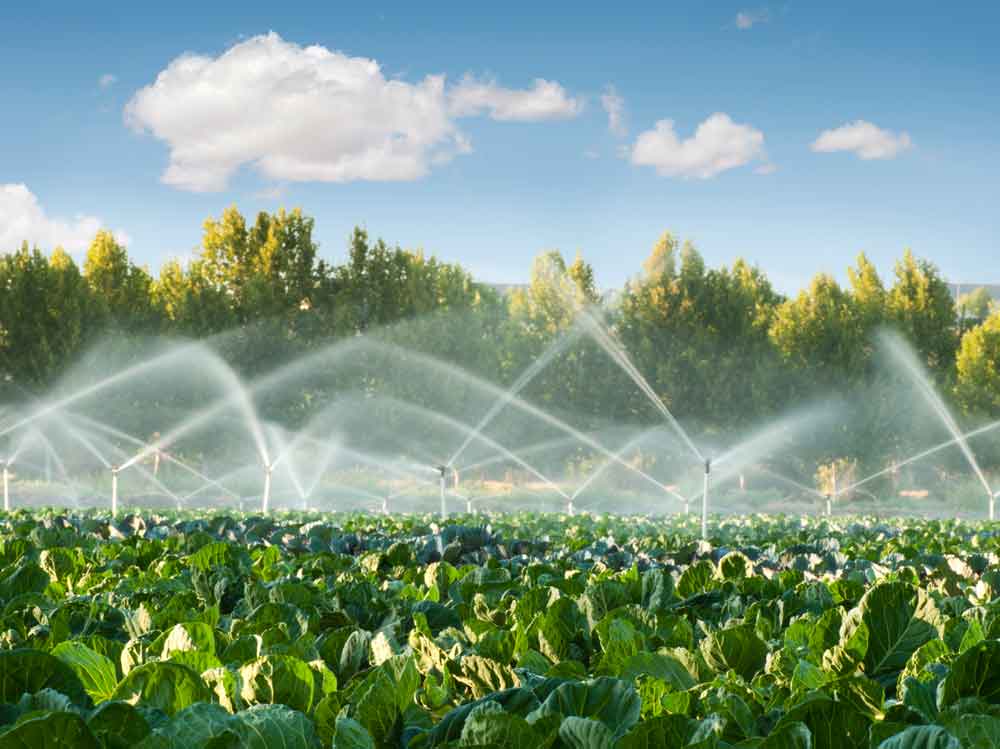 Preservação do meio ambiente pode virar desconto no bolso