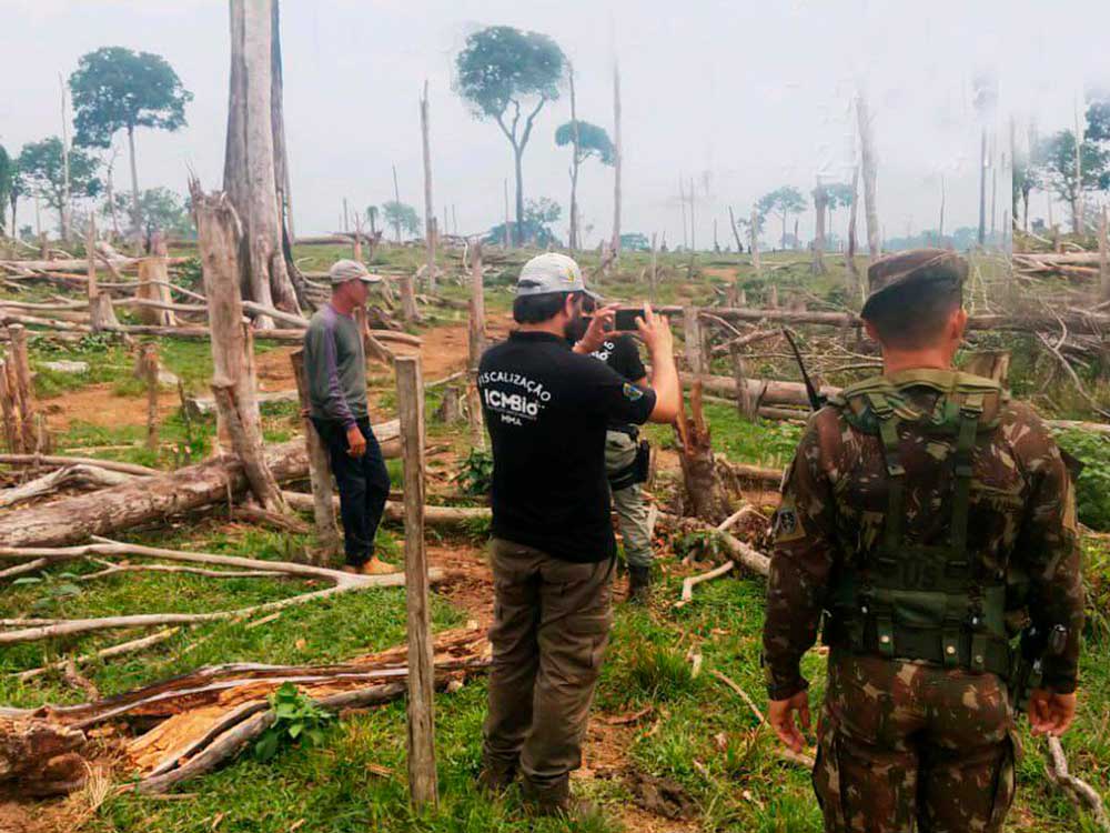 Operação combate à extração ilegal de madeira em terra indígena no Maranhão