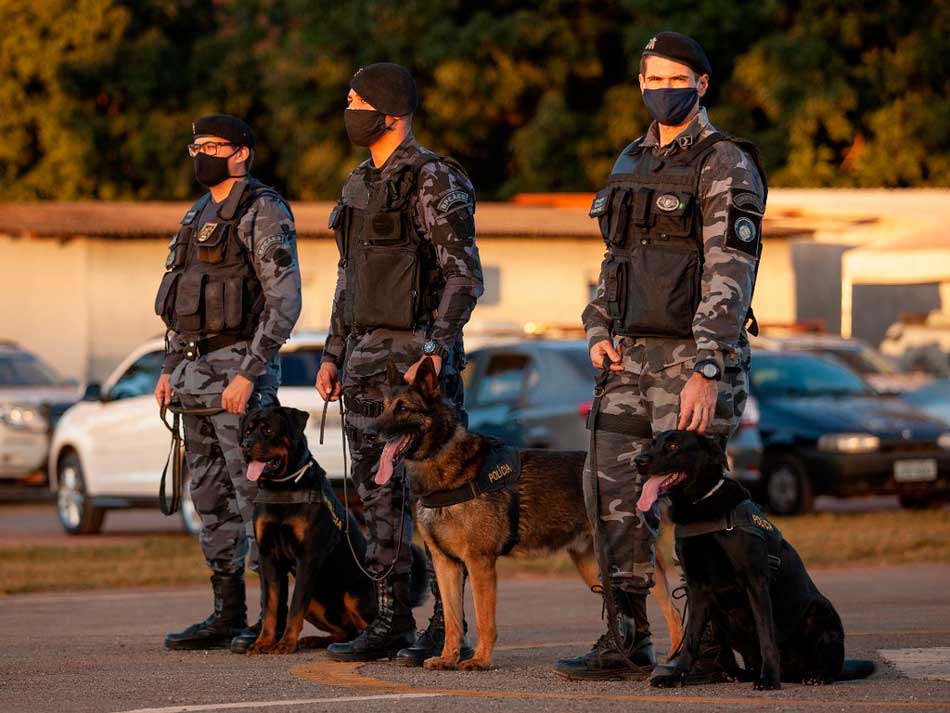 “HomenAUgem” aos bravos cães da segurança pública do DF