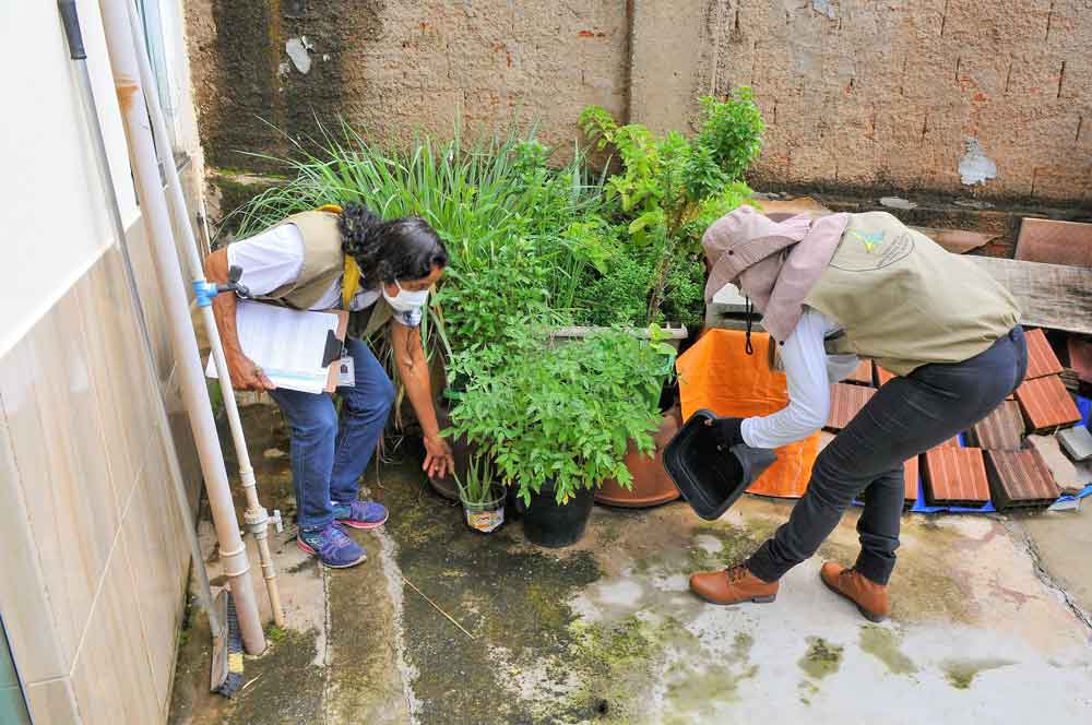 Mesmo com a seca, prevenção contra a dengue continua no DF