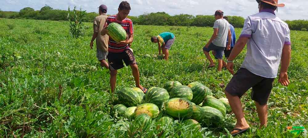 Goiás: Começa a Semana Estadual da Agricultura Familiar