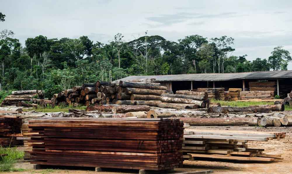 Classificação de madeira pode beneficiar consumidor, diz ministério