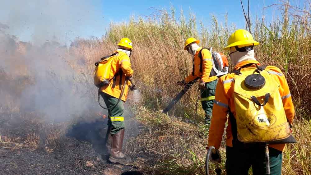 Meio Ambiente terá 6 mil bombeiros para controlar focos de queimadas