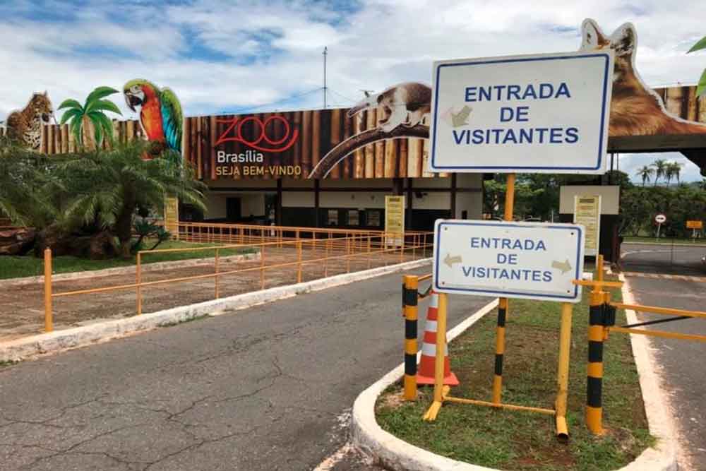 Plataforma on-line vai evitar filas no Zoológico de Brasília