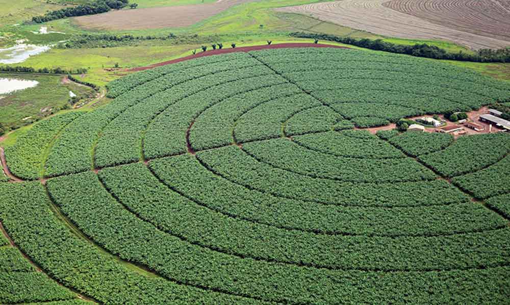 Brasil vai demonstrar a sustentabilidade do agronegócio na COP26