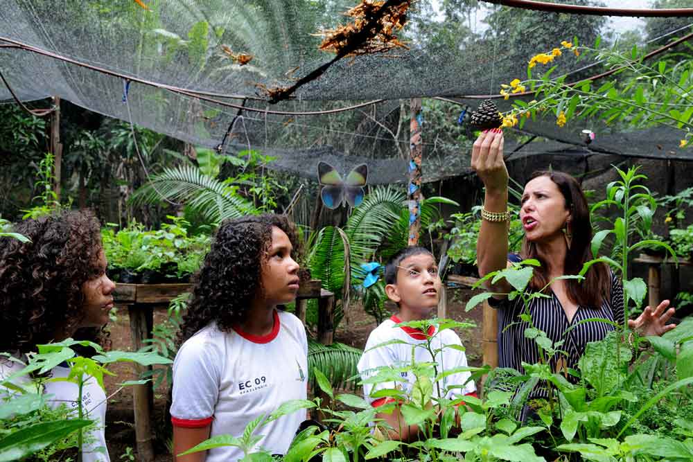 Escola Parque da Natureza vai ganhar nova sede