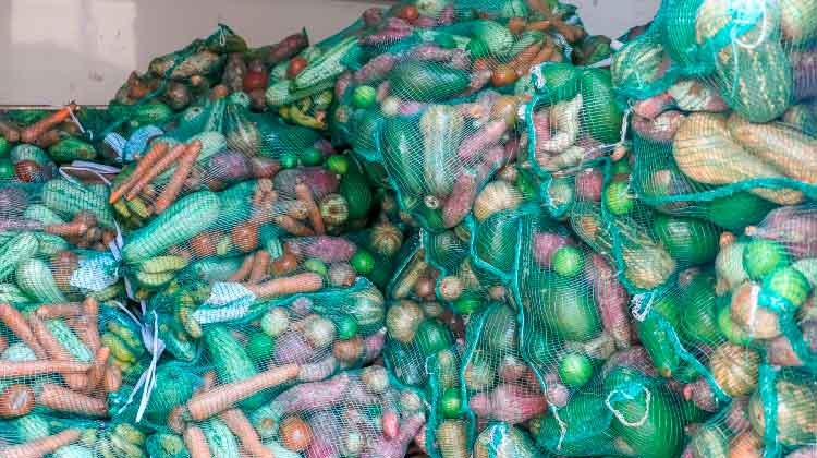 Mais de 12 mil cestas verdes são entregues ao Banco de Alimentos