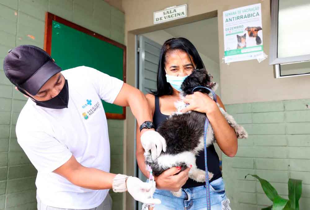 Distrito Federal confirma um caso de raiva humana