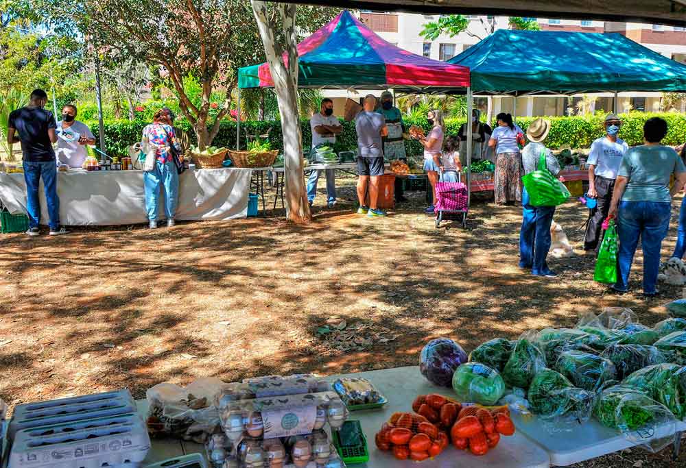 Feiras rurais oferecem de mel a café orgânico