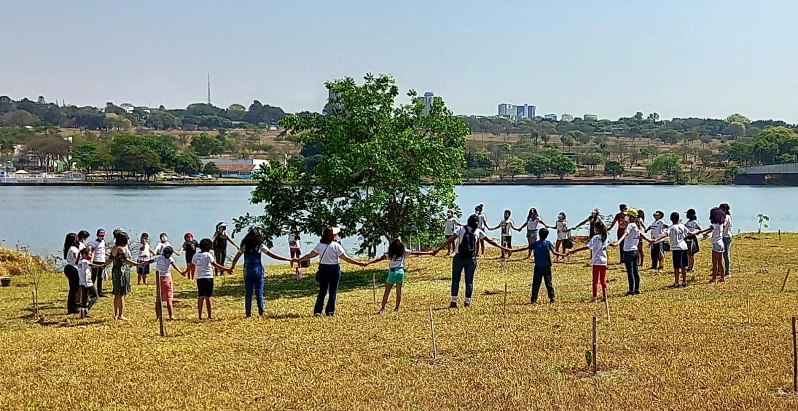 Sessenta estudantes da rede pública vão ao Lago Paranoá plantar mudas do cerrado