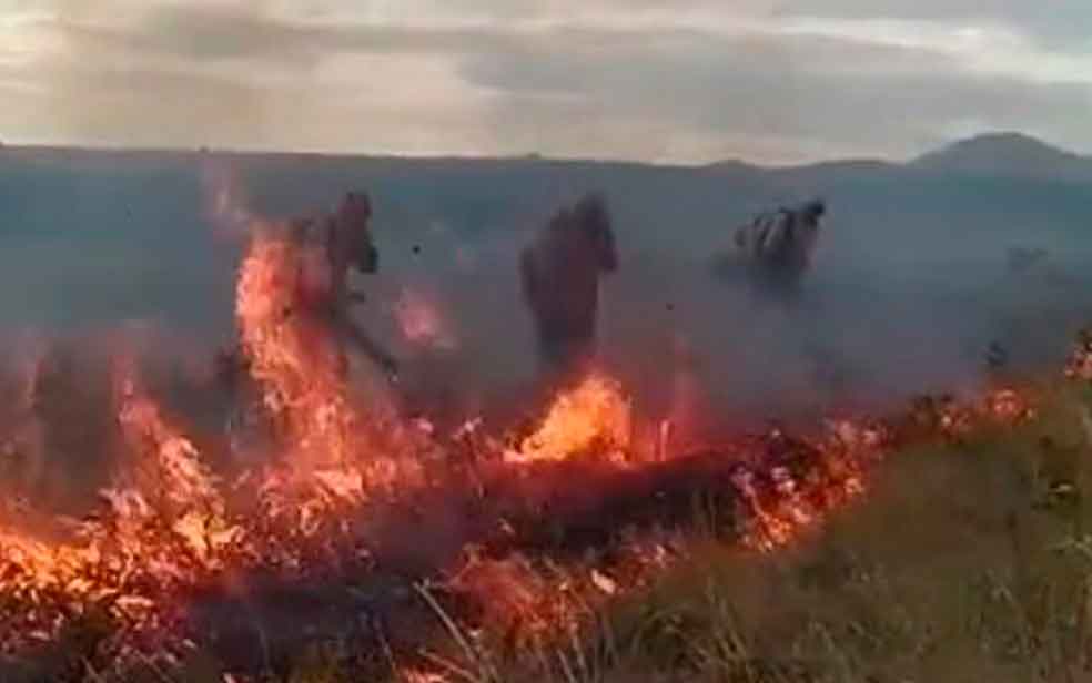 Vídeo: bombeiros do DF combatem incêndio no Parque Canela de Ema