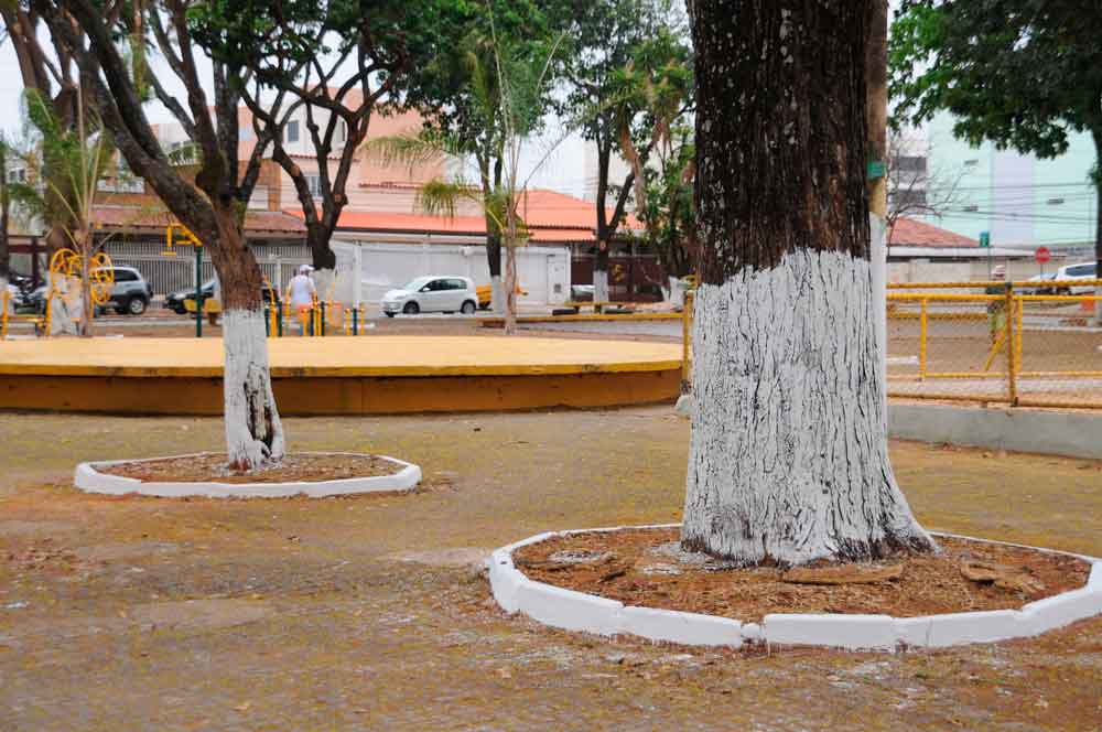 Praça da Bandeira no Guará está de cara nova