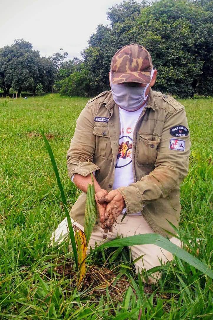 Parque Veredinha receberá plantio de mil mudas