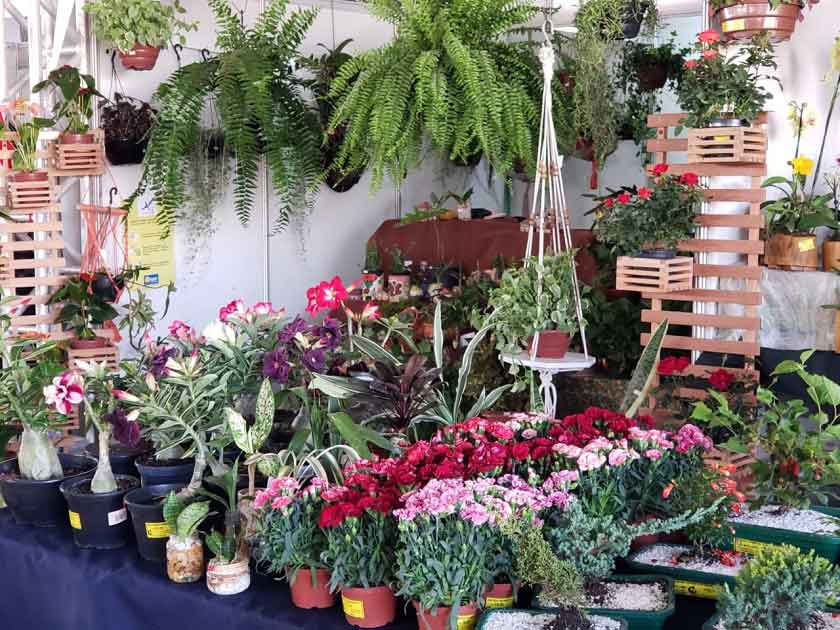 Feira do Artesanato e das Flores abre nesta quinta-feira (11)