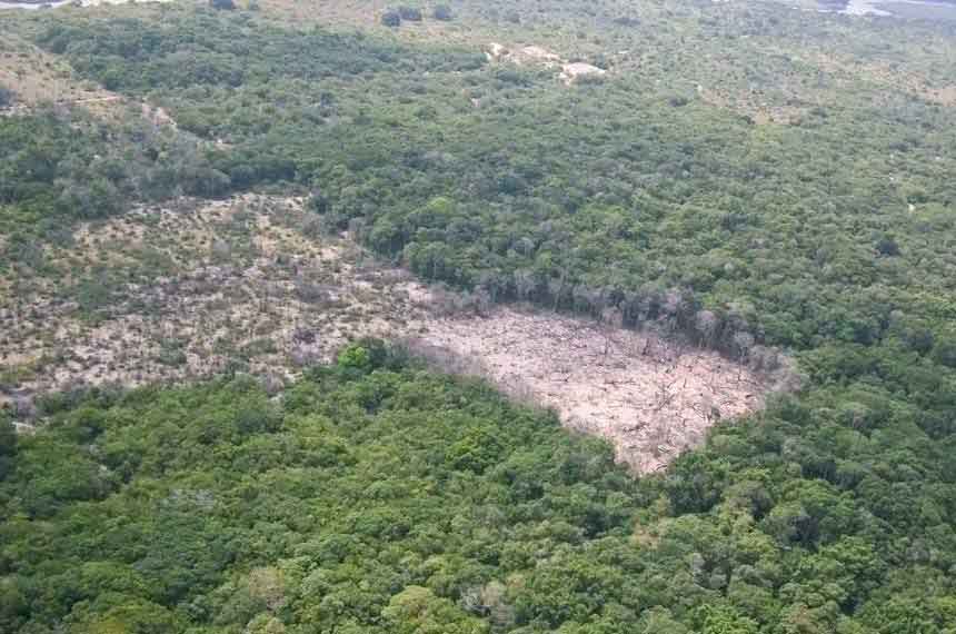 Ministros falam sobre ações para combater desmatamento na Amazônia