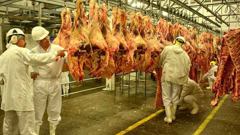 China retoma importação de carne bovina brasileira