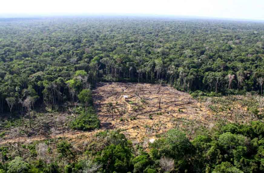 Mato Grosso intensifica ações contra crimes ambientais