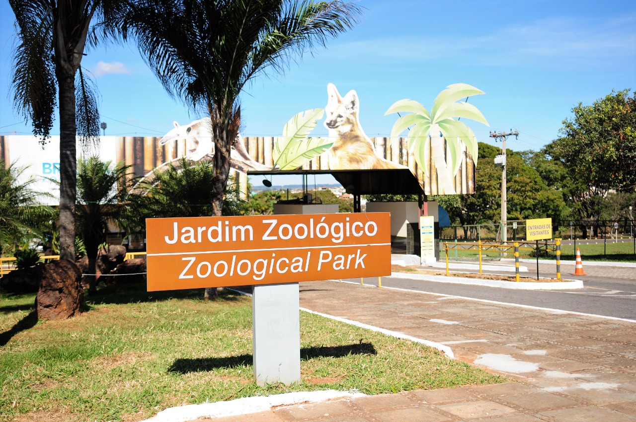 Zoológico de Brasília terá sua primeira festa junina