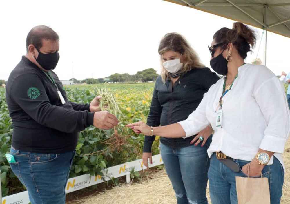 Disputa de cultivares de soja dá a largada para a AgroBrasília