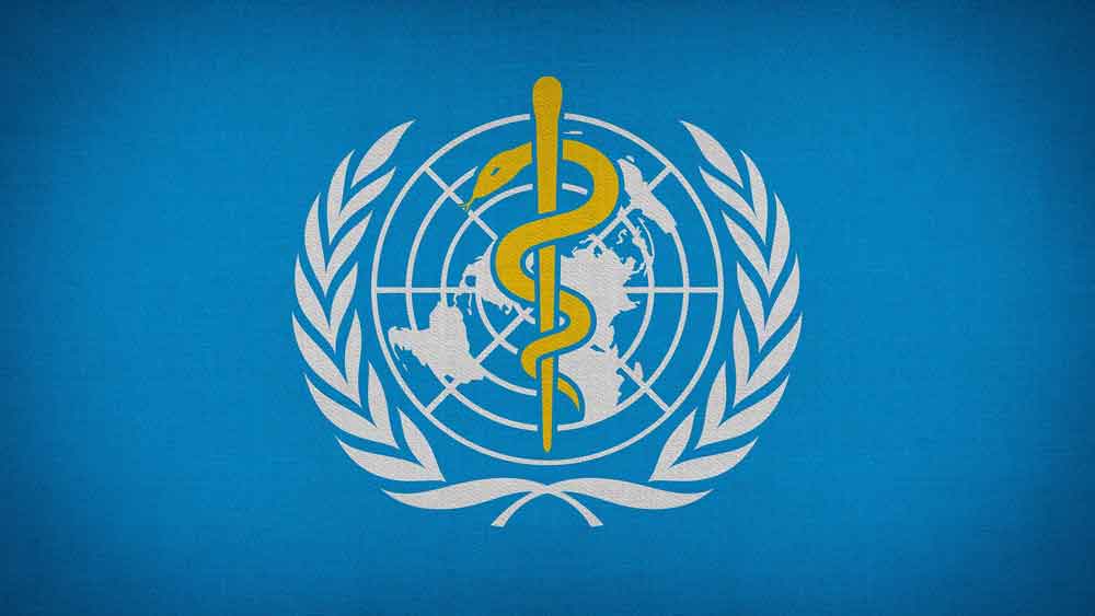 Brasil vai receber 50 mil doses da vacina contra a varíola do macaco