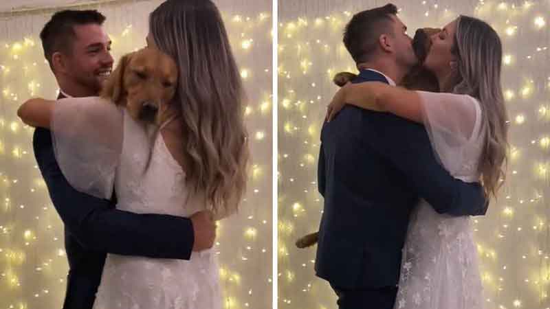 Casal dança valsa de casamento com cão e momento recebe 14 milhões de views