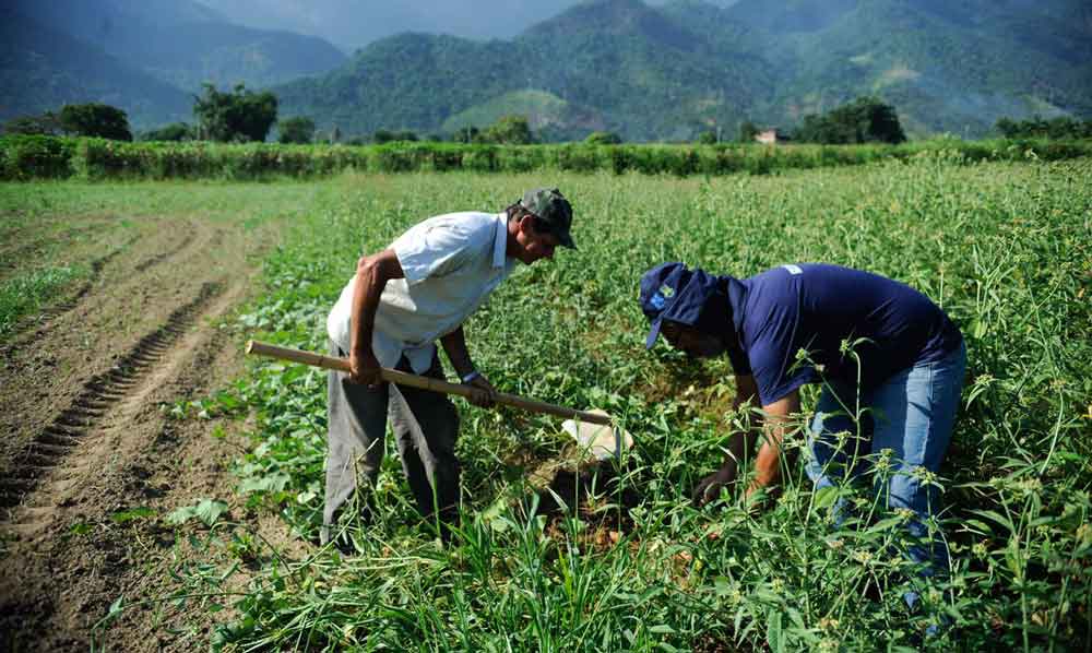 GDF avança na meta e qualifica 1,8 mil pequenos agricultores no DF