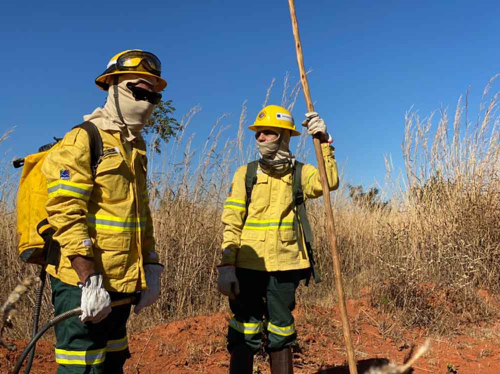 Órgãos do DF e federais atuam em blitz contra incêndios florestais