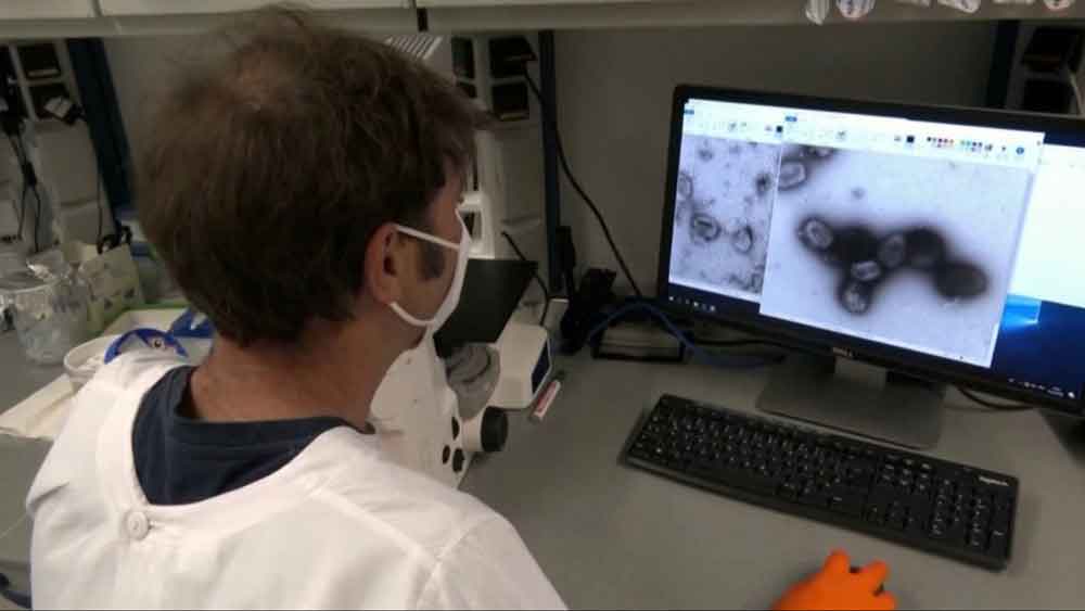 DF investiga 418 casos de varíola dos macacos