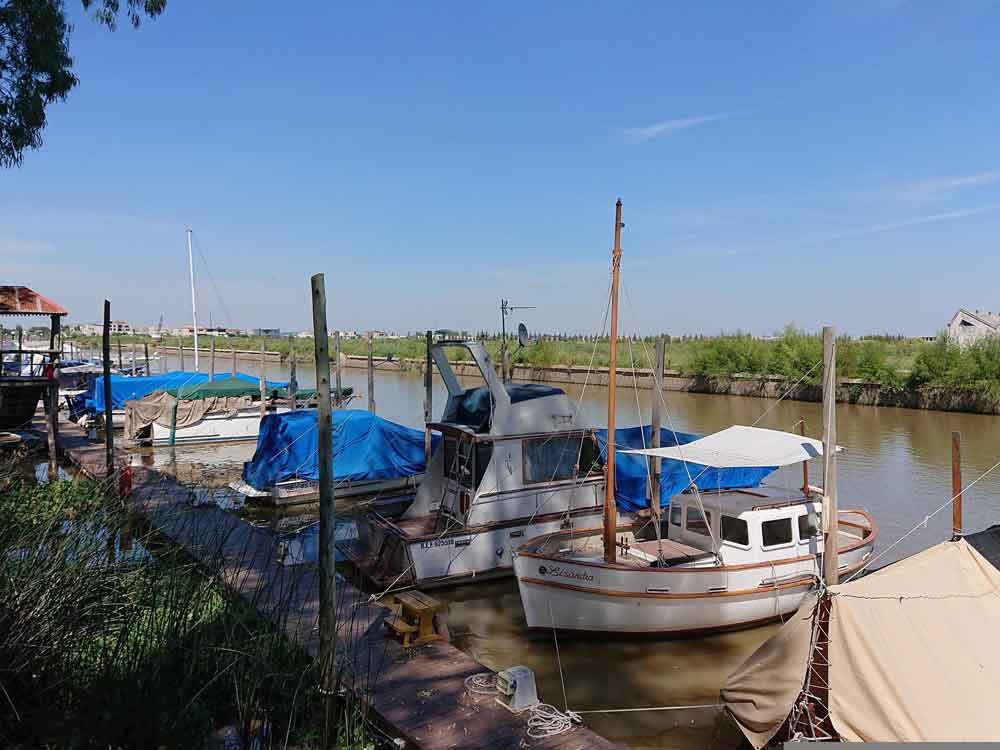 Altas temperaturas fazem o lendário rio Tigre agonizar no Iraque