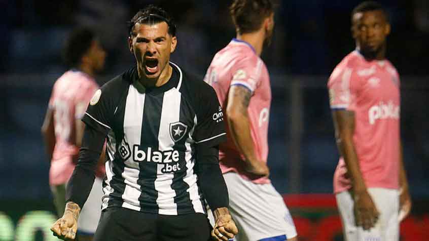 Botafogo vira para cima do Avaí e segue sonhando com Libertadores