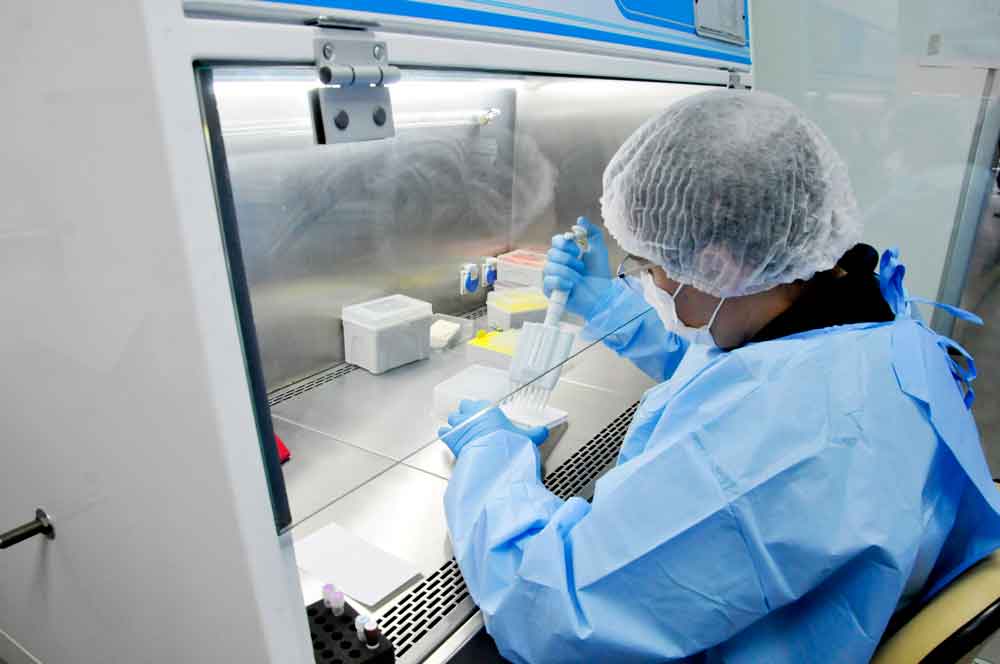 Butantan começa a desenvolver vacina contra gripe aviária