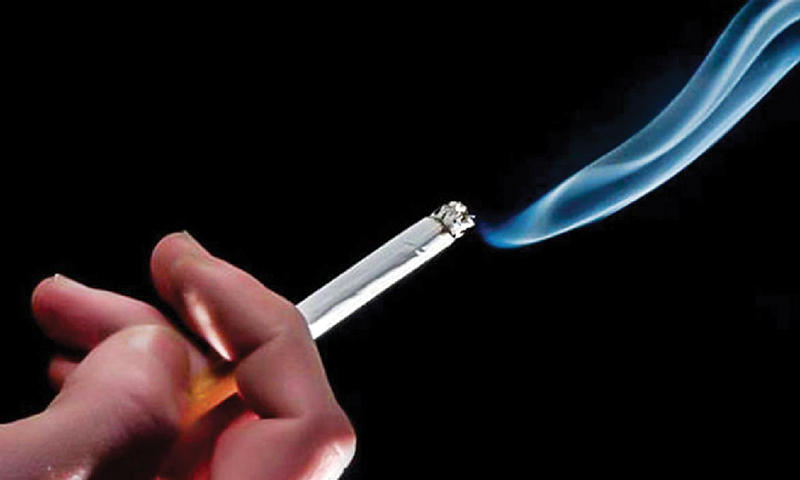 Quase 40% dos brasileiros fumantes consomem, por dia, 11 ou mais cigarros