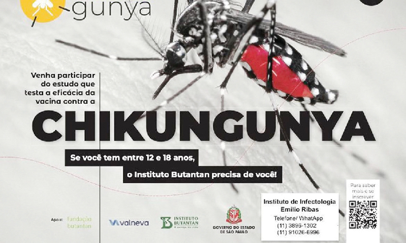 Instituto quer voluntários para teste de vacina contra a chikungunya