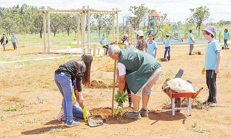 Ibram cria parceria para o plantio de mais de 200 árvores do Cerrado