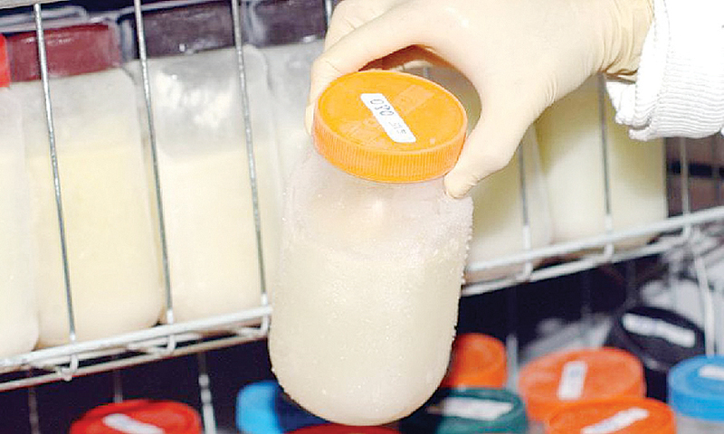Banco de leite materno do DF segue precisando de mais doações