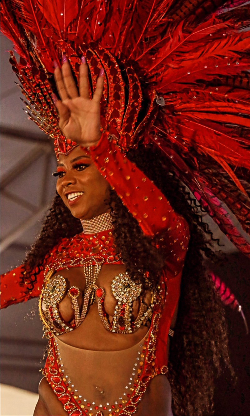 Blocos de Carnaval se reúnem com Celina Leão para discutir Carnaval 2023