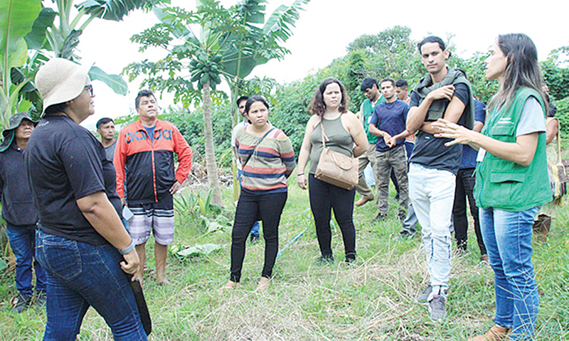 No Instituto Horta Girassol, indígenas conhecem práticas de agricultura sustentável