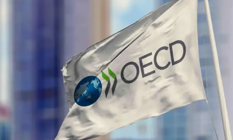 Educação midiática: Modalidade é o caminho contra a desinformação, diz a OCDE